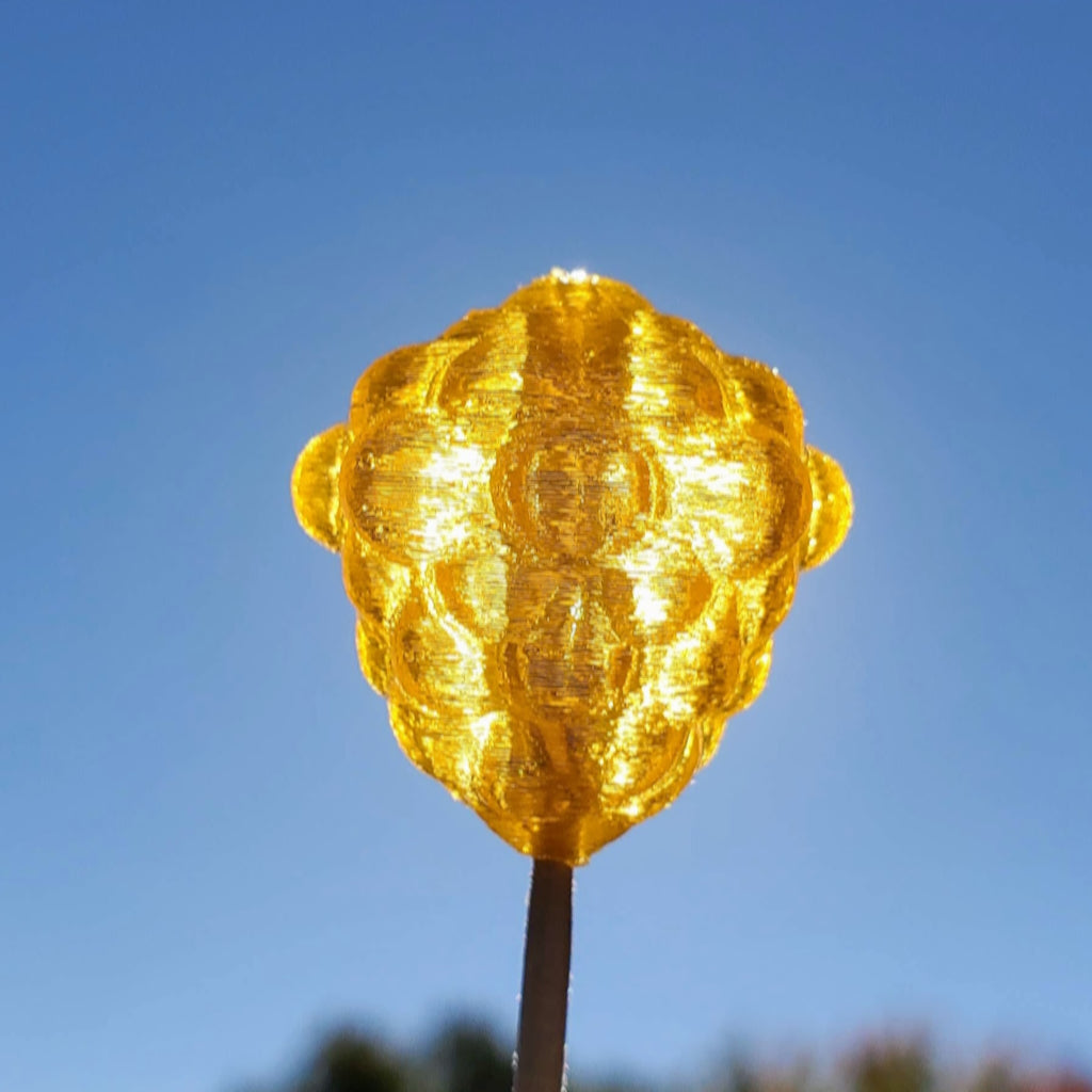 Okie Drifter - Yolk Sac
