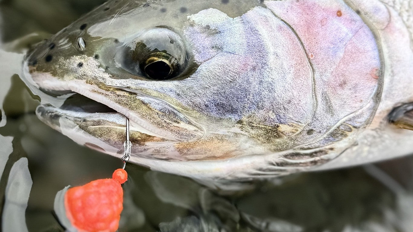 cherry drifter fish lure Musky Mania Lil Doc 7in have for muskies and pike that require a massive Cherry Bomb Sink It Series